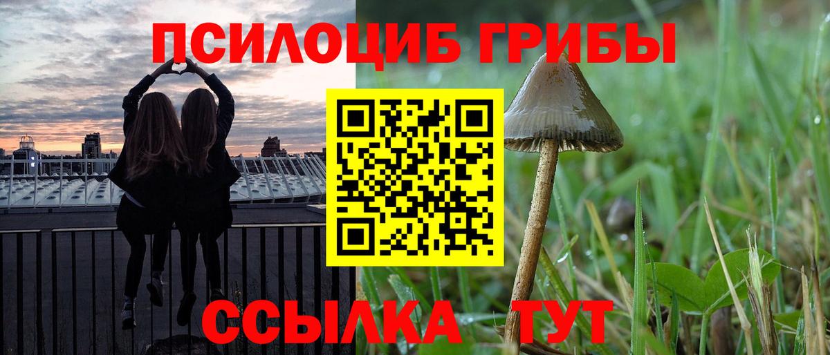 Псилоцибиновые грибы GOLDEN TEACHER  Вход с VPN  Новодвинск 