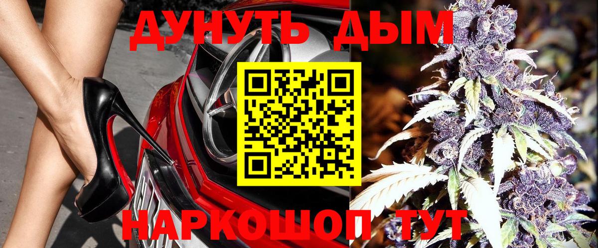 МАРИХУАНА планчик Новодвинск